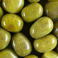 Gyíkok 