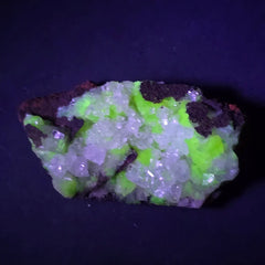 Adamita