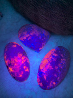 Uv Reaktív 