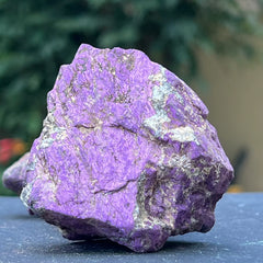 Púrpurit 