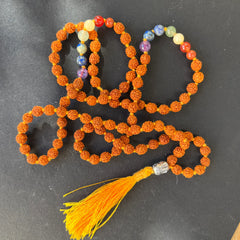 Rudraksha 